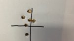Plant Ceiling Flower Twig